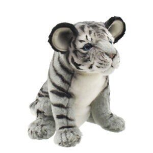 HANSA nT wbhJo[ ʂ g ubN e tFAEFCEbhp FWp BH8404 St pi ANZT[