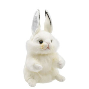 HANSA nT wbhJo[ ʂ VETM tFAEFCEbhp FWp BH8460 St pi ANZT[