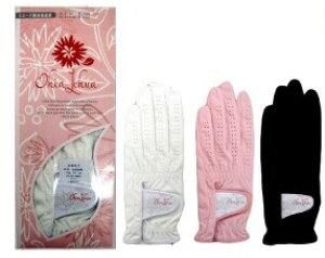 LXRIqAqAfB[XO[uvvpvO[uOL815LWy[֑ΉzyRCPz