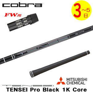 y3`5cƓzRuFWp X[utVtg OHP~J TENSEI Pro Black 1K CoremeZC v ubN 1K RAn tFAEFCEbhp