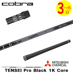 y3`5cƓzRu X[utVtg OHP~J TENSEI Pro Black 1K CoremeZC v ubN 1K RAn hCo[p