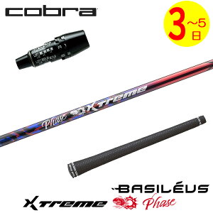 �y3�`5�c�Ɠ��z�R�u�� DS-ADAPT �X���[�u�t���V���t�g Basileus �o�V���E�X XTM Phase�m�G�N�X�g���[�� �t�F�[�Y �n �h���C�o�[�p
