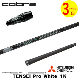�y3�`5�c�Ɠ��z�R�u�� DS-ADAPT �X���[�u�t���V���t�g �O�H�P�~�J�� TENSEI Pro White 1K�m�e���Z�C �v�� �z���C�g 1K�n �h���C�o�[�p