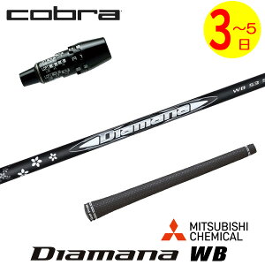 �y3�`5�c�Ɠ��z�R�u�� DS-ADAPT �X���[�u�t���V���t�g �O�H�P�~�J�� Diamana WB�m�f�B�A�}�i WB�n �h���C�o�[�p