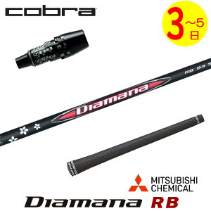 �y3�`5�c�Ɠ��z�R�u�� DS-ADAPT �X���[�u�t���V���t�g �O�H�P�~�J�� Diamana RB�m�f�B�A�}�i RB�n �h���C�o�[�p