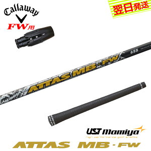 yŒZŗzLEFCFWp X[utVtg UST}~ ATTAS MB-FWmAb^XMBtFAEFCnFWp tFAEFCEbhp