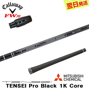 yŒZŗzLEFCFWp X[utVtg OHP~J TENSEI Pro Black 1K CoremeZC v ubN 1K RAn tFAEFCEbhp