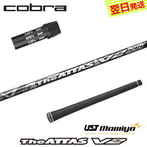 楽天市場】ジアッタス v2の通販