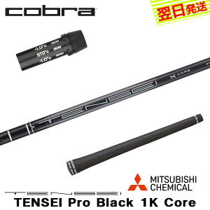 yŒZŗzRu X[utVtg OHP~J TENSEI Pro Black 1K CoremeZC v ubN 1K RAn hCo[p