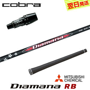 �y�ŒZ�ŗ��������z�R�u�� DS-ADAPT �X���[�u�t���V���t�g �O�H�P�~�J�� Diamana RB�m�f�B�A�}�i RB�n �h���C�o�[�p