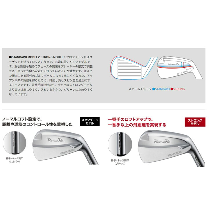 楽天市場】RomaRo PRO FORGED IRON STANDARD MODEL プロフォージド 