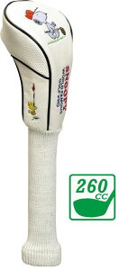 Xk[s[Stv tFAEFCEbhp wbhJo[ Cg H-304