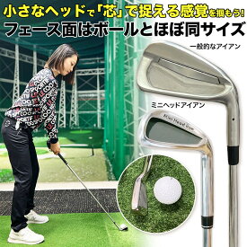 GOLFavo ミニヘッドアイアン mini head iron ゴルフ 練習器具 スイング練習 小さいヘッド ミスショット減 ゴルファボ