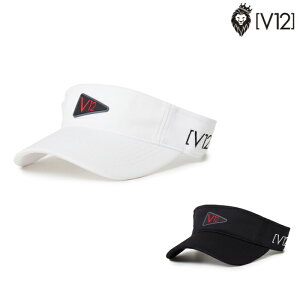 V12 ���B�g�D�G���u �����Y ���f�B�[�X FLAG LOGO VISOR �T���o�C�U�[ V122220-CP05 CACC_02