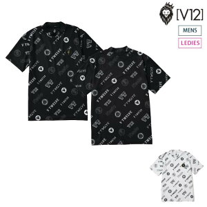 V12 BgDGu St bNlbNVc StEFA Y fB[X TYPES MOCK z V122410-MK13 CACE_01