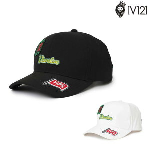 V12 BgDGu StEFA Y fB[X Xq WAP CAP Lbv v122520-cp09 H~ 2025