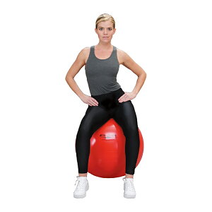 ゴルフ ボール ダイエットの人気商品 通販 価格比較 価格 Com