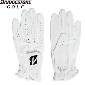 ylR|XzStO[u uaXgSt TOUR PREMIUM GLG10 Y p  傫TCYL