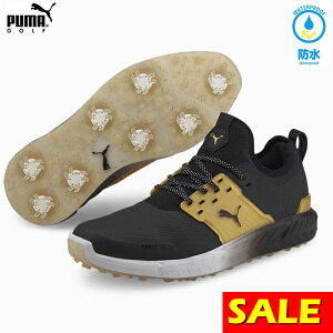 COiCg A[eBL[g S[h 377226