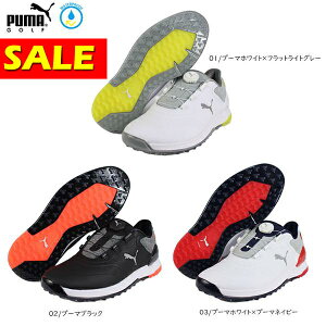 Ly[@Z[ StV[Y XpCNXV[Y v[} 377526 Y 23SS h 傫TCYL