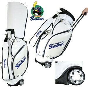 yubNtCf[ |Cg5{z NgX[Y St 9^ LfBobO StobO 2022Nf LX^[t 7 47C`NuΉ 4.4kg zCg yscb-2426