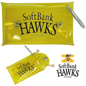 \tgoNz[NX St NAP[X Gx[v J[hz_[ 2025N f CG[ sbac-5736