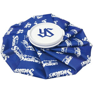 NgX[Y St ACXobO X̂ 2025Nf u[ ysmc-5716