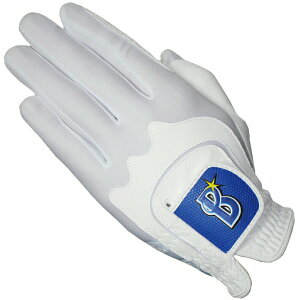 lDeNAxCX^[Y St O[u 2025Nf jp t[TCY p zCg × u[ ybgl-4606