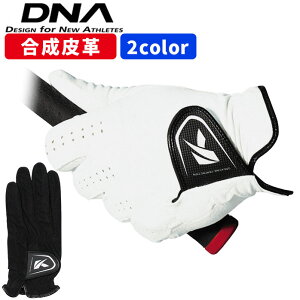 LXR St O[u DNA SUEDE SF-2010 p SV ې JV XG[h v ubN zCg kasco