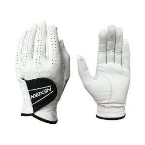 NEXGEN St O[u nCNIeB rv G`IsAV[v r NGV-202 zCg Stp[gi[ lNXWF