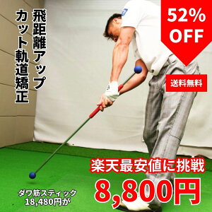 _؃XeBbN StK XCO  fU St K K  fUK _LXeBbN XCOK wbhXs[h StXCO 򋗗Abv Z[