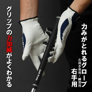 St O[u E Kp Ep Y jp yObv́u͉v ĂzKpI݂͂ƂO[u E蒅piEpj