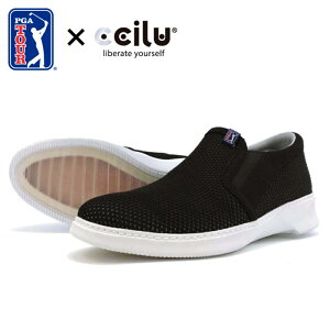 PGA ccilu bV[t@[ StV[Y V[Y Y jp Stp St