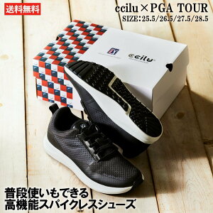 StV[Y Y XpCNX V[Y y PGAcA[ ccilu XpCNXStV[Y