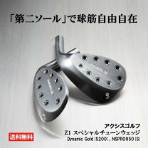 楽天市場】axis z1の通販