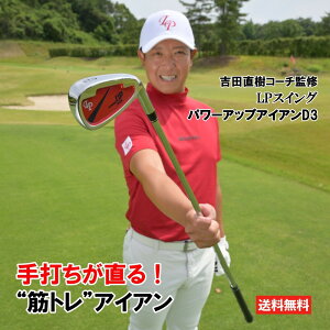 LPXCO p[AbvACAD3 St K 򋗗Abv g[jO XCO gc LP SWING K  V[CO