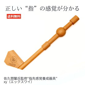 xy エックスワイ 佐久間馨 監修 指先感覚養成器具スイング練習 ゴルフ練習器具 ゴルフスイング 素振り ゴルフ