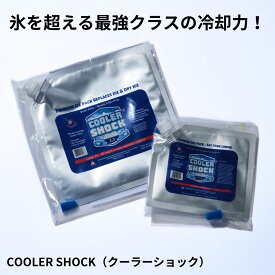 COOLER SHOCK クーラーショック 単品 保冷剤