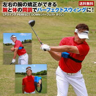 LPスイング パーフェクト ダウン【腕と体の同調でパーフェクトスウィングに!!】