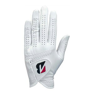 uaXgSt cA[v~A O[u p GL2500