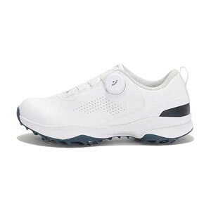 LEFC GAX|[c \tgXpCN {A StV[Y fB[X C24996230