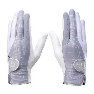 LEFC VFu fA O[u EBY 25 JM StO[u fB[X p