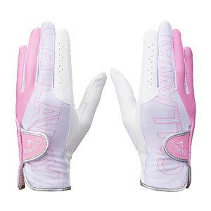 LEFC VFu fA O[u EBY 25 JM StO[u fB[X p