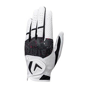 LEFC OtBbN O[u 25 JM StO[u Y p