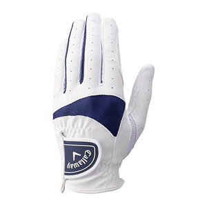 LEFC \C O[u EBY 25 JM StO[u fB[X p