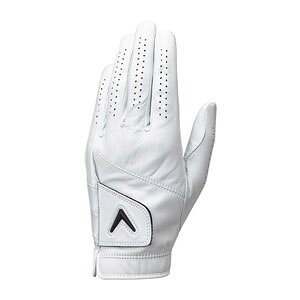 LEFC cA[ I[ZeBbN O[u 25 JV StO[u Y p