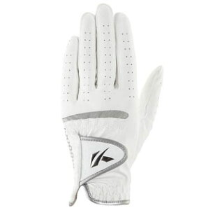 LXR StO[u p DNA VR fB[X SF-2312L