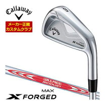 楽天市場】X FORGED アイアン #4の通販