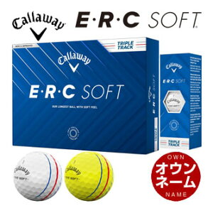 IEl[Ή LEFC 2025 EEREC SOFT St{[ [12]