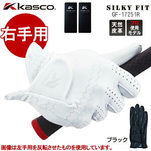 yEpzLXR StO[u VL[tBbg M[TCY GF-17251R